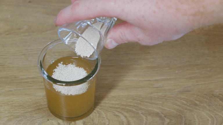 L'art de la fermentation : Comprendre la levure et son impact sur la bière