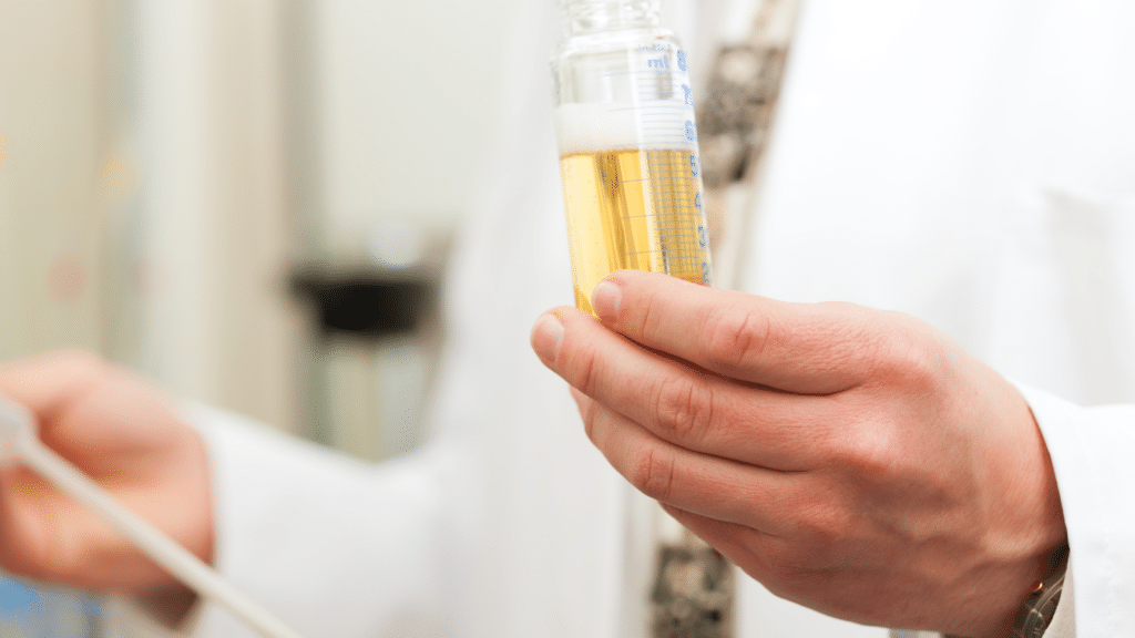 La magie de la fermentation : Processus et conséquences