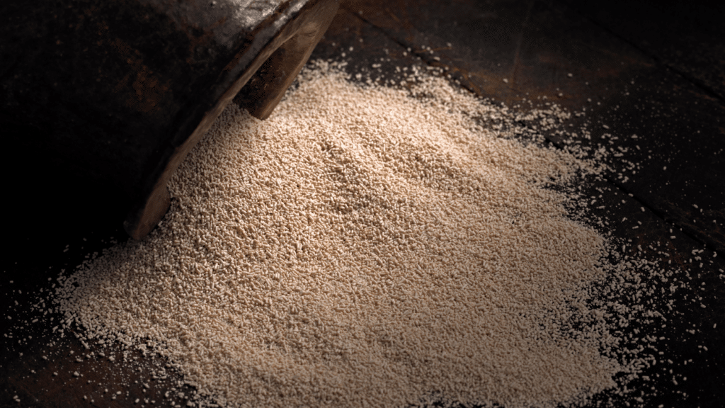 La levure : Architecte de la fermentation